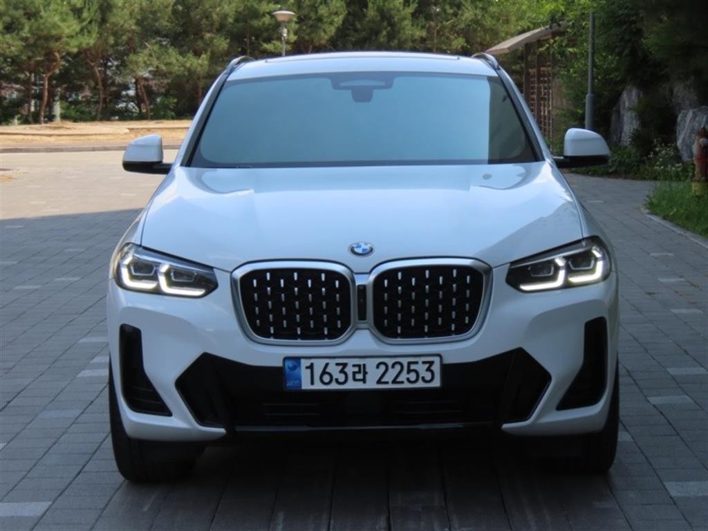 BMW X4 X4 (G02) xDrive 20i M 스포츠 이미지 1