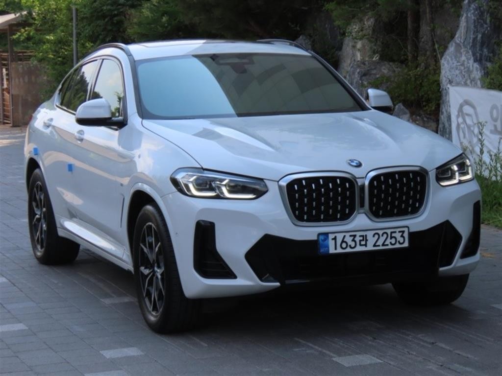 BMW X4 X4 (G02) xDrive 20i M 스포츠 이미지 2