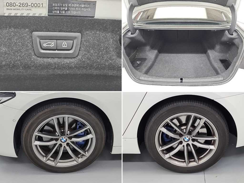 BMW 5시리즈 5시리즈 (G30) 530i M 스포츠 플러스 이미지 20