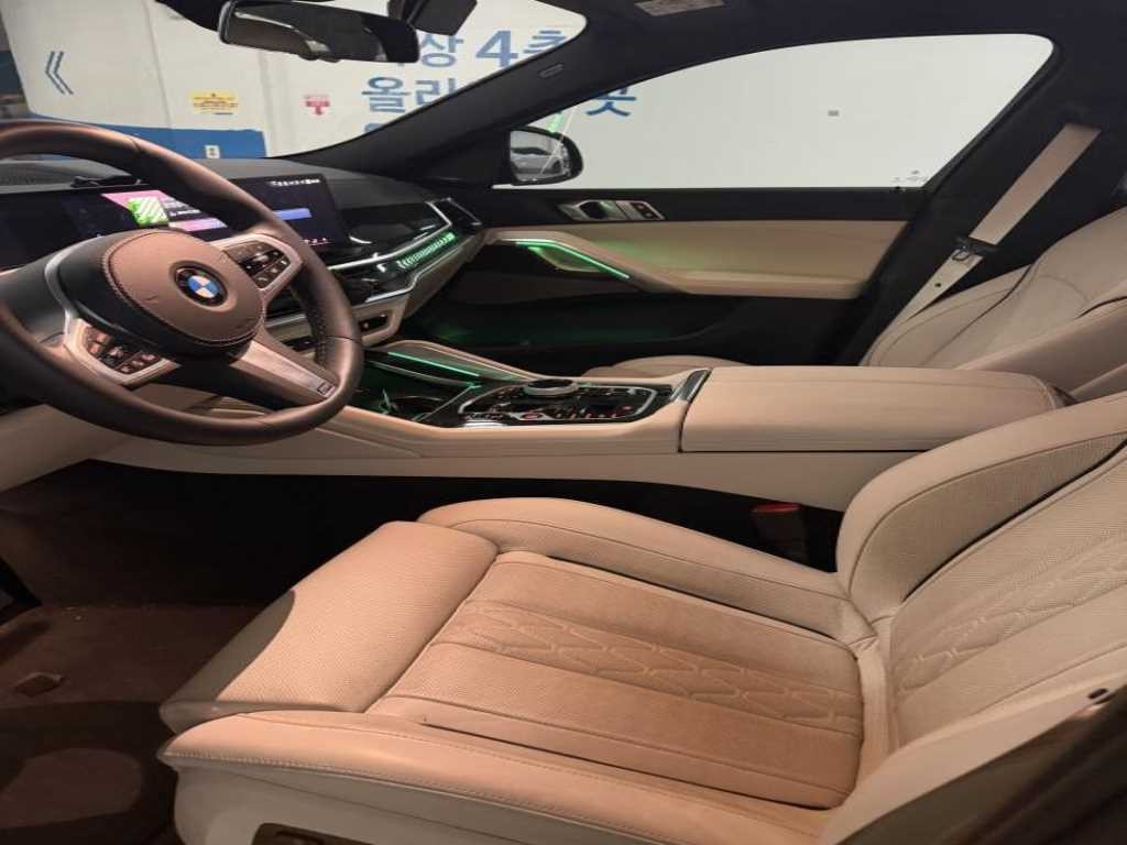 BMW X6 X6 (G06) xDrive 30d M 스포츠 이미지 9