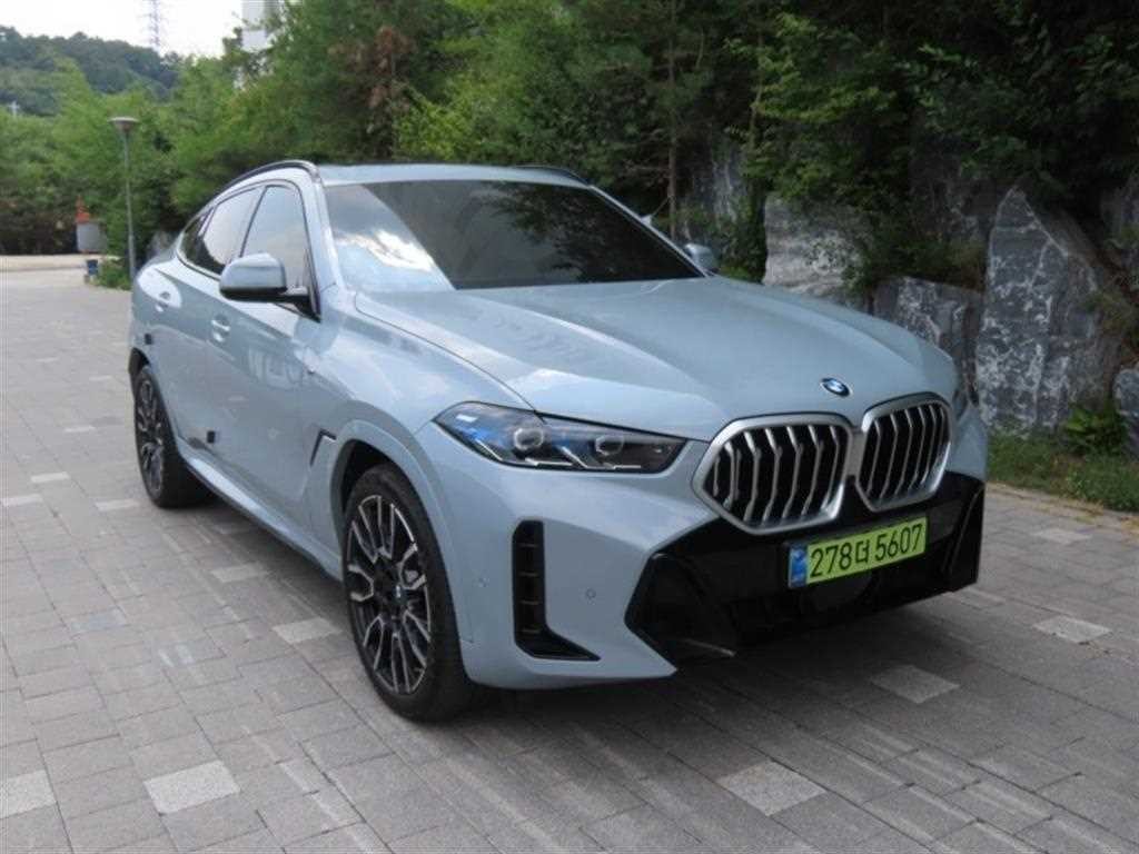 BMW X6 X6 (G06) xDrive 40i M 스포츠 이미지 2
