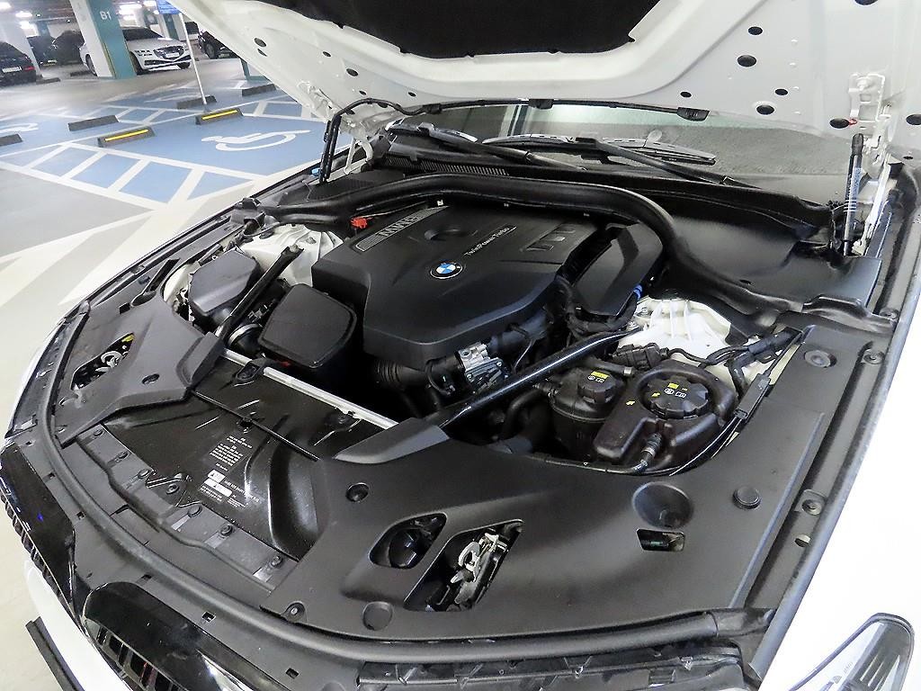 BMW 5시리즈 5시리즈 (G30) 530i M 스포츠 플러스 이미지 19