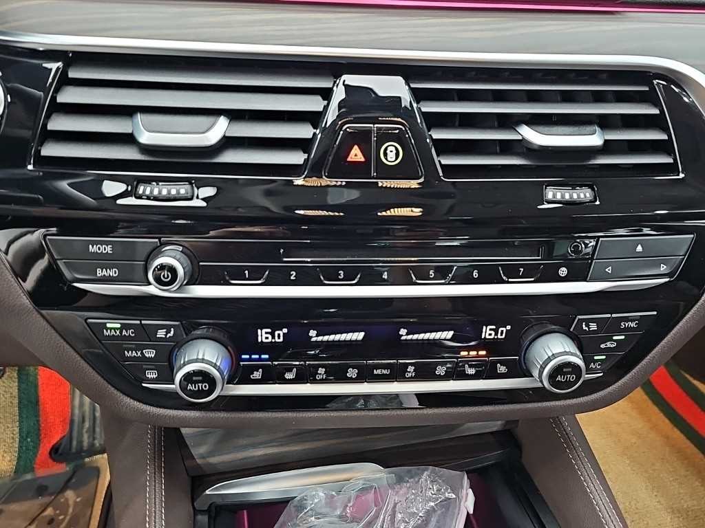 BMW 5시리즈 5시리즈 (G30) 520d xDrive 럭셔리 플러스 이미지 10