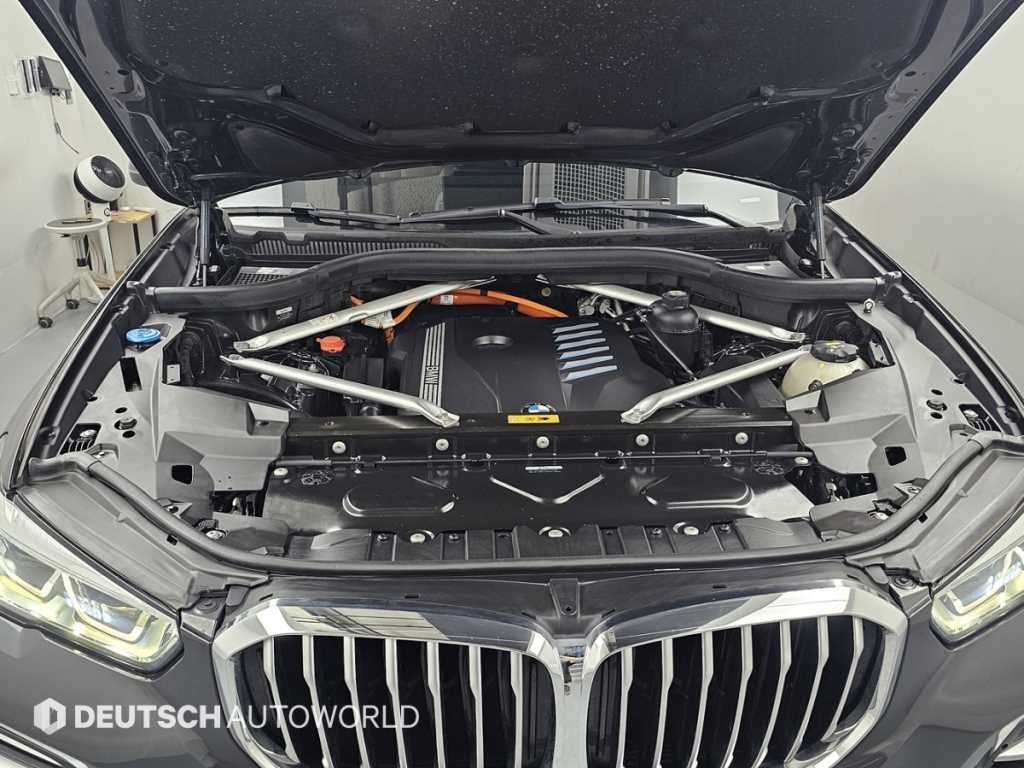 BMW X5 X5 (G05) xDrive 45e xLine 이미지 6