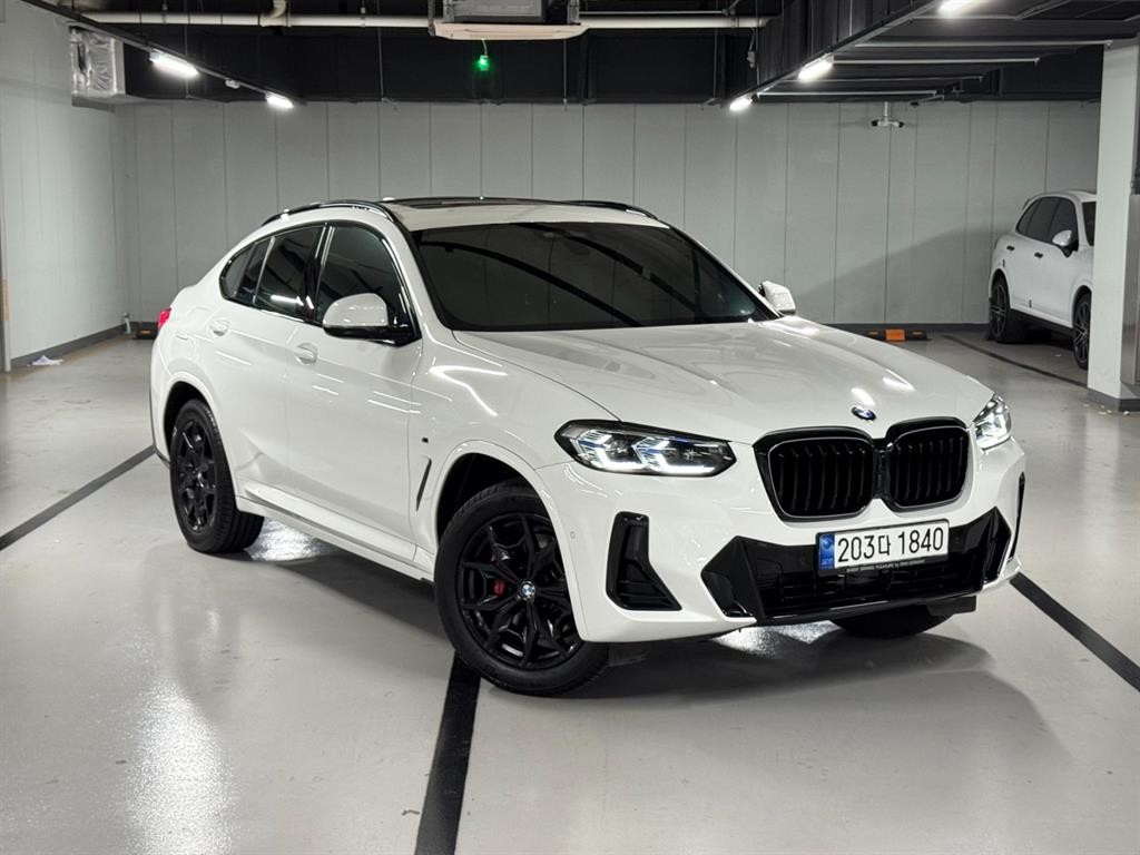 BMW X4 X4 (G02) xDrive 20i M 스포츠 프로 이미지 1