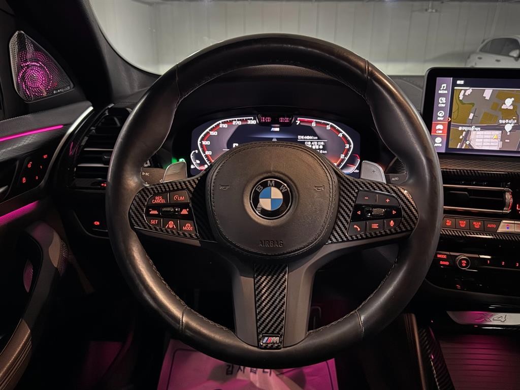 BMW X4 X4 (G02) xDrive 20i M 스포츠 프로 이미지 12