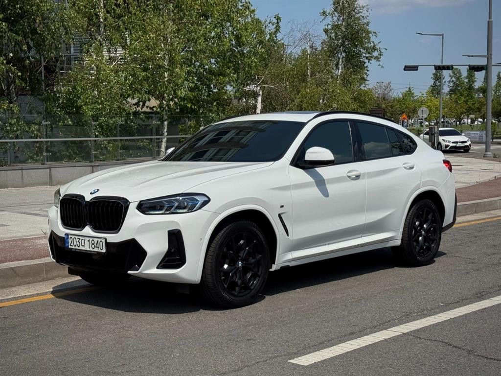 BMW X4 X4 (G02) xDrive 20i M 스포츠 프로 이미지 19
