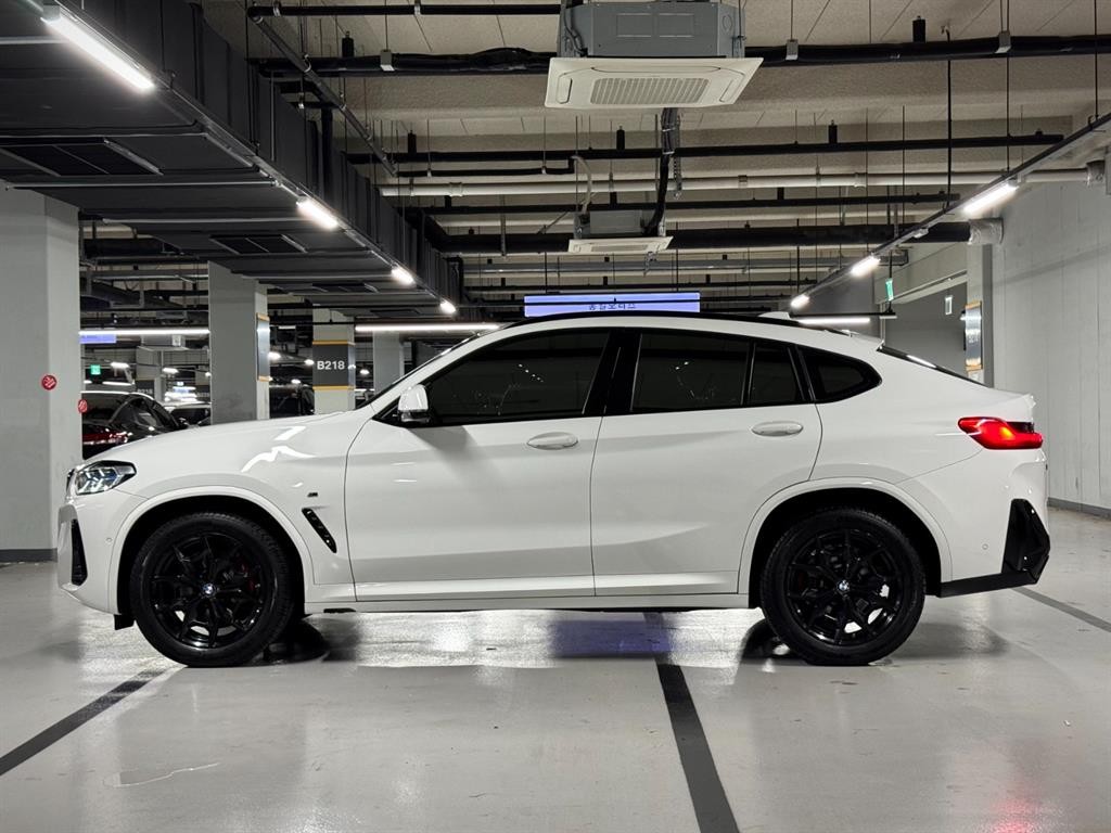 BMW X4 X4 (G02) xDrive 20i M 스포츠 프로 이미지 5