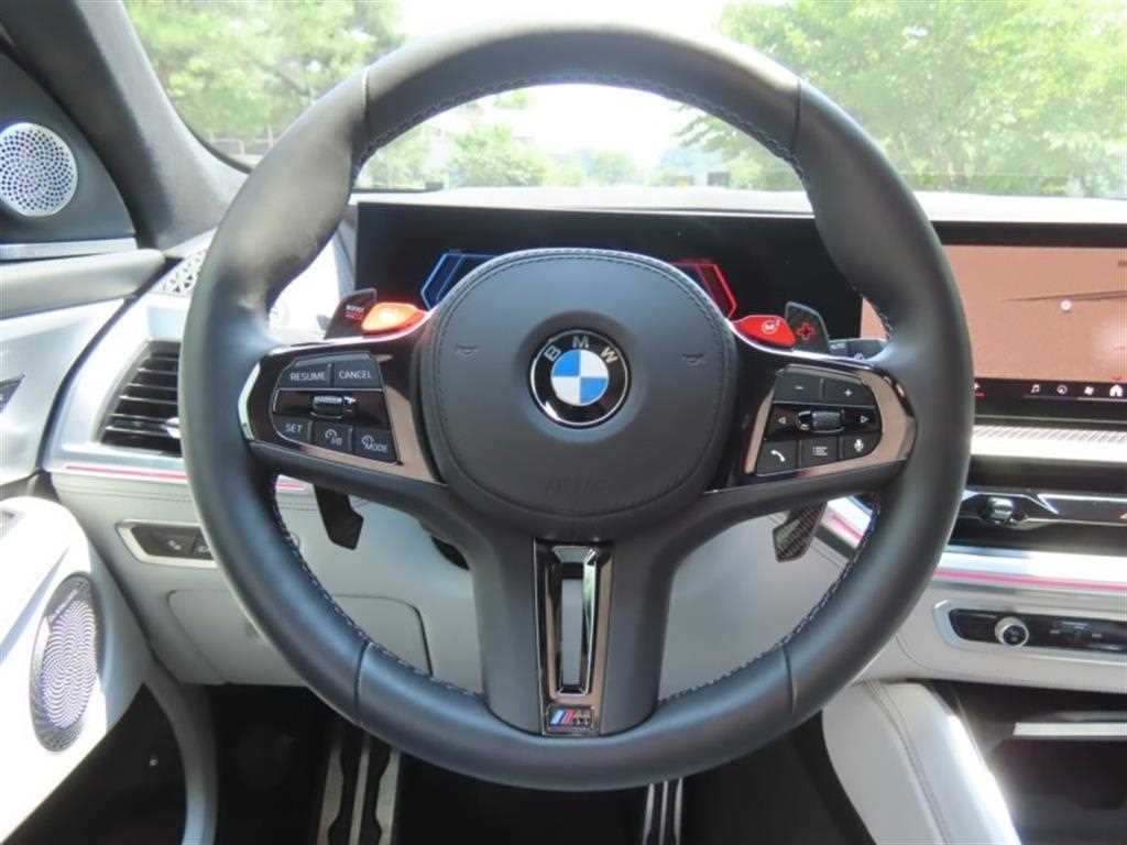 BMW XM XM (G09) 레이블 이미지 16