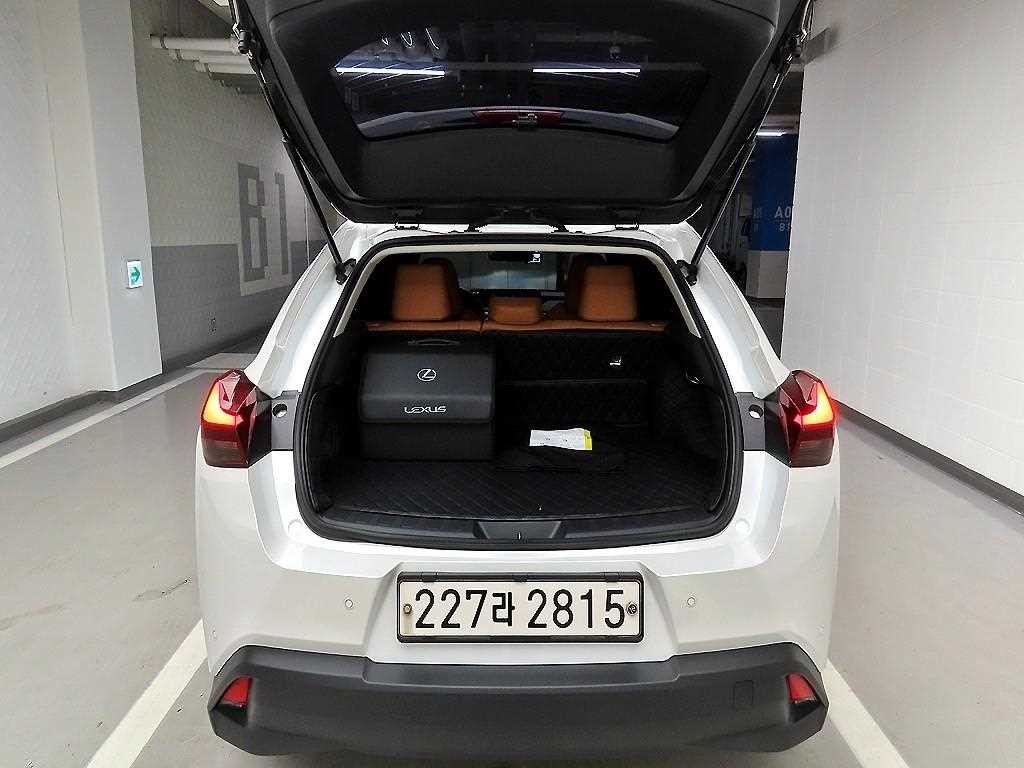 렉서스 UX UX 250h 2.0 2WD 이미지 5