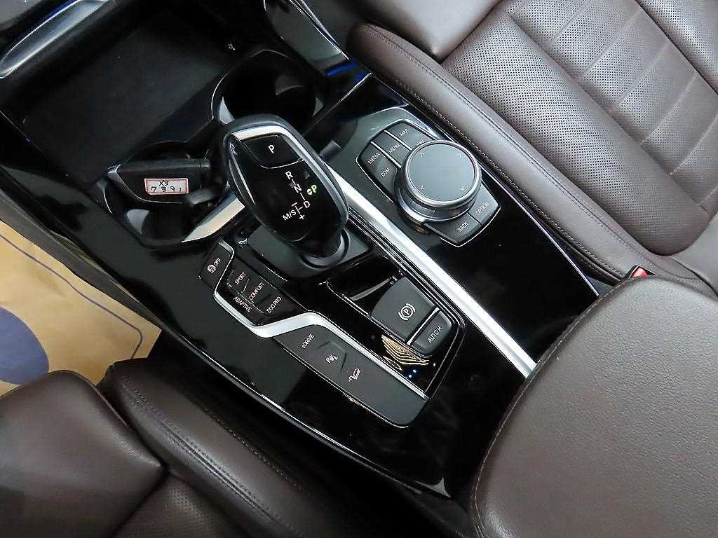 BMW X3 X3 (G01) xDrive 30d M 스포츠 이미지 10