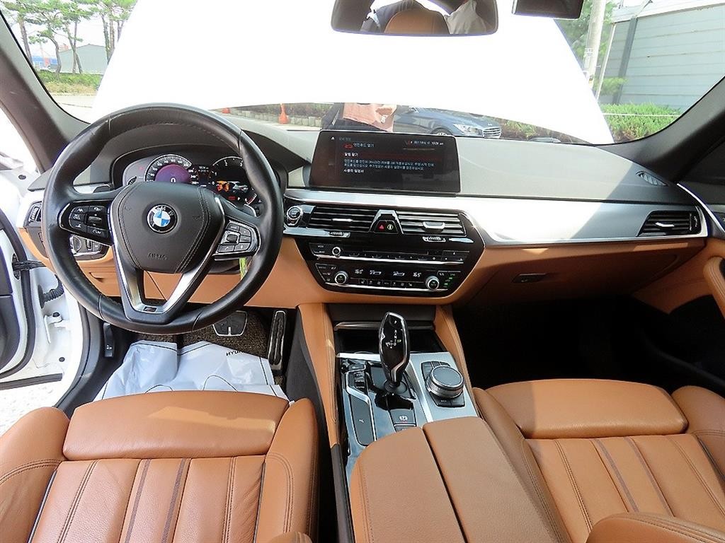 BMW 5시리즈 5시리즈 (G30) 520d M 스포츠 스페셜 에디션 이미지 7