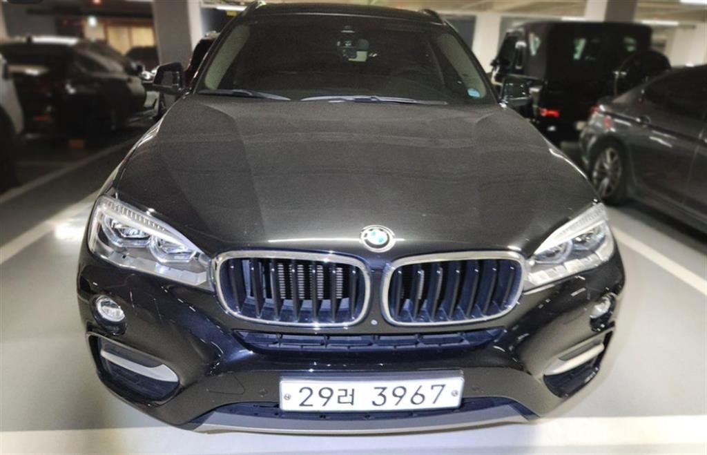 BMW X6 X6 (F16) xDrive 30d 이미지 1