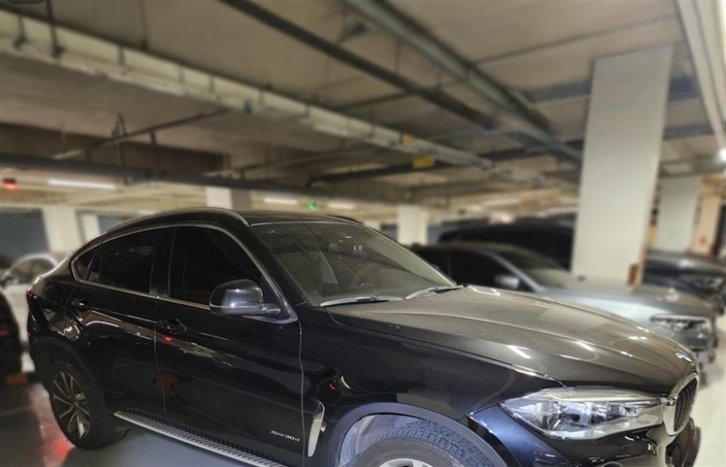 BMW X6 X6 (F16) xDrive 30d 이미지 2
