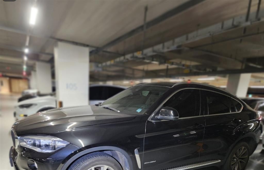 BMW X6 X6 (F16) xDrive 30d 이미지 3