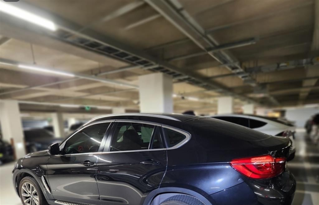 BMW X6 X6 (F16) xDrive 30d 이미지 4