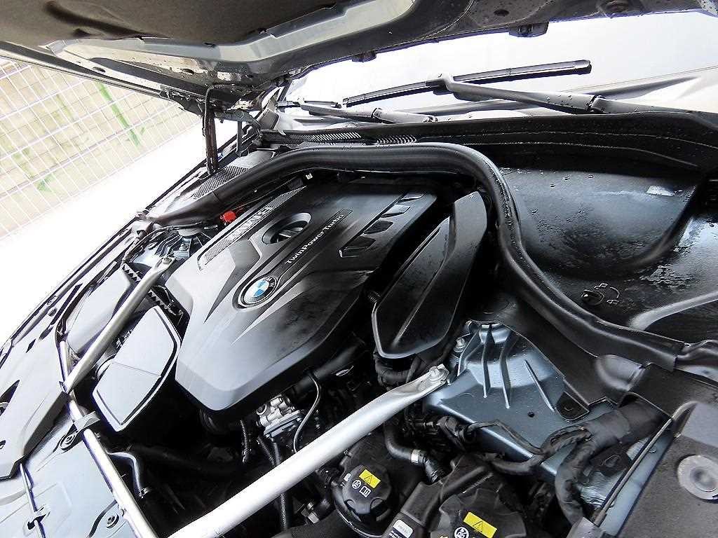 BMW 5시리즈 5시리즈 (G30) 530i 럭셔리 플러스 이미지 19