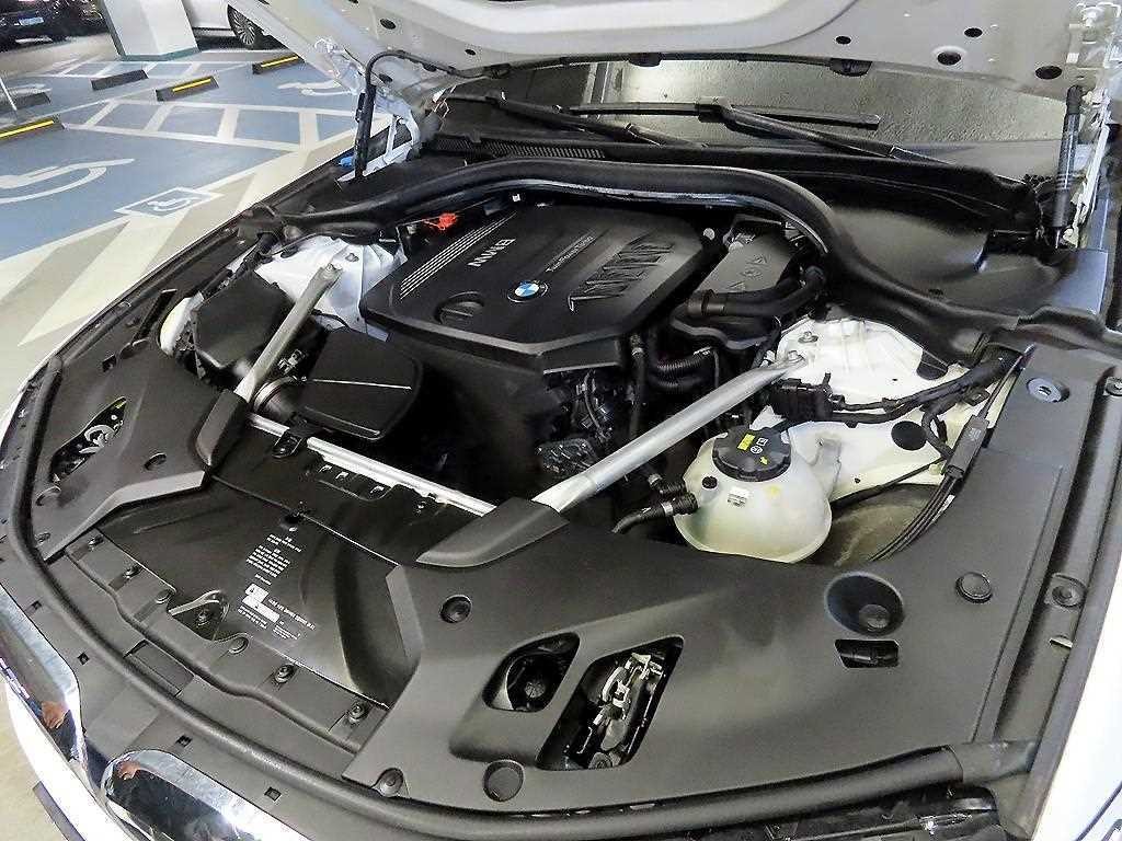 BMW 5시리즈 5시리즈 (G30) 520d 럭셔리 스페셜 에디션 이미지 19