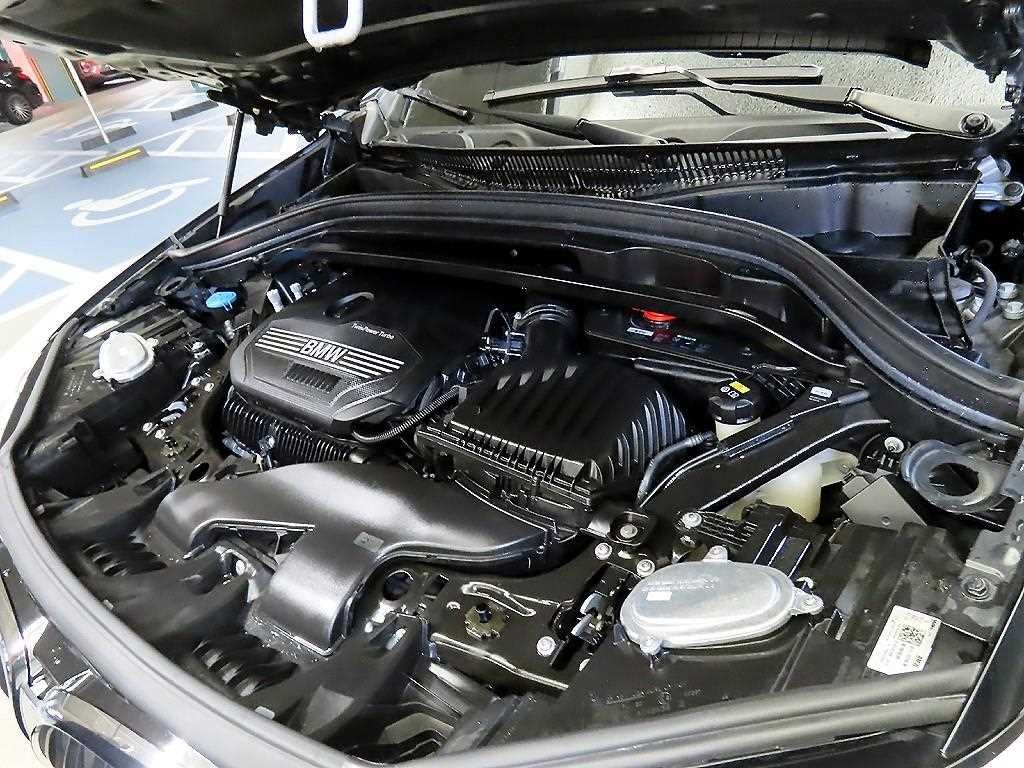 BMW X1 X1 (F48) xDrive 20i 어드밴티지 이미지 19