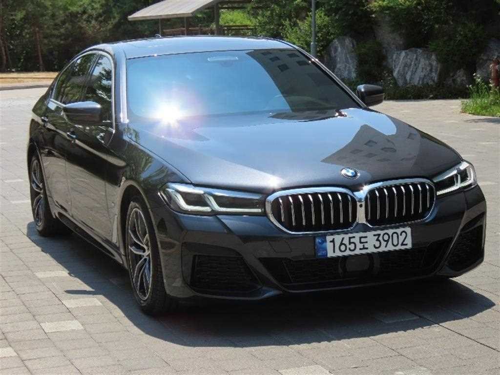BMW 5시리즈 5시리즈 (G30) 520i M 스포츠 이미지 2