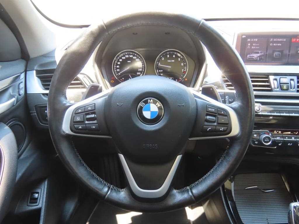 BMW X1 X1 (F48) xDrive 20i M 스포츠 이미지 11