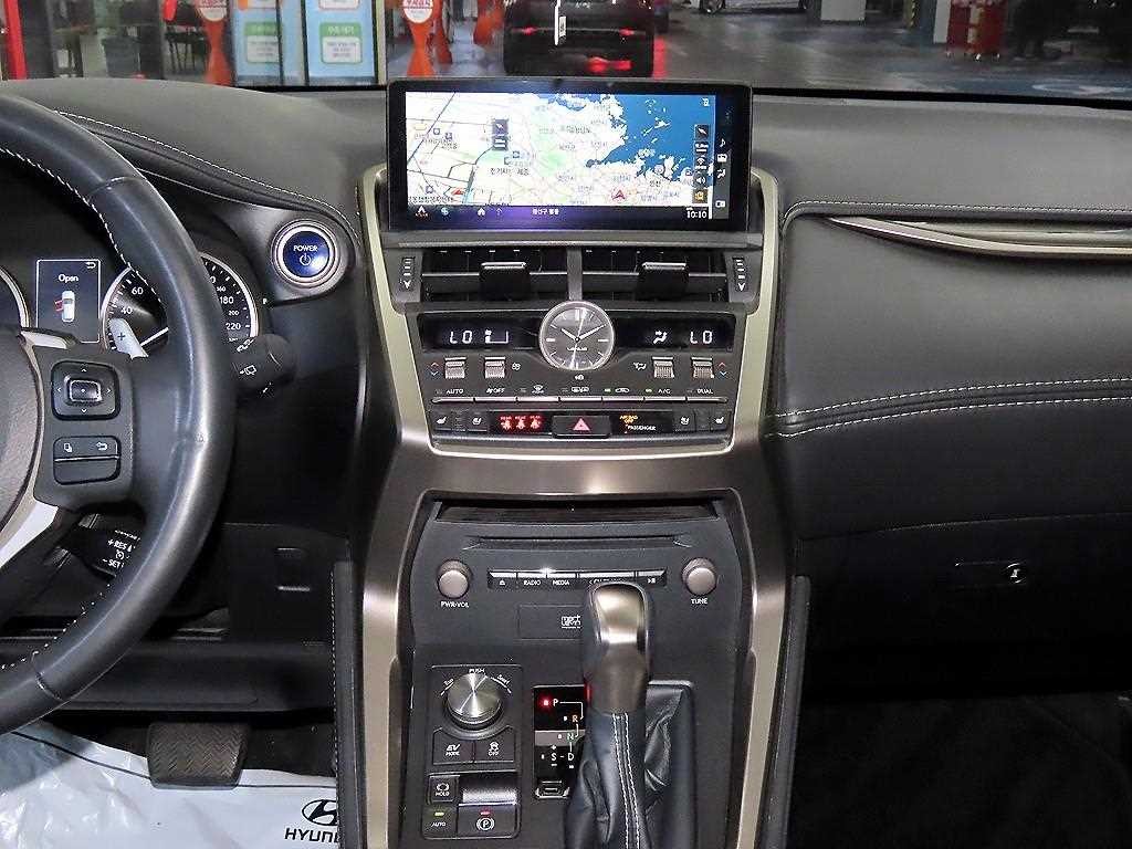 렉서스 NX NX 300h 이그제큐티브 이미지 11