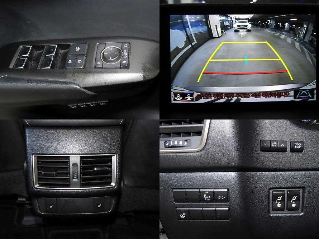 렉서스 NX NX 300h 이그제큐티브 이미지 18