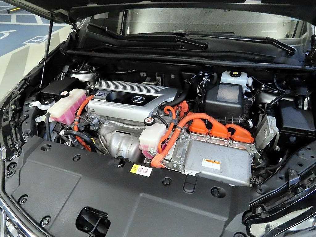 렉서스 NX NX 300h 이그제큐티브 이미지 19