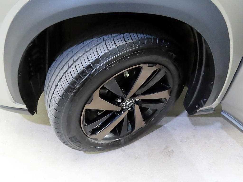 렉서스 NX NX 300h 이그제큐티브 이미지 20