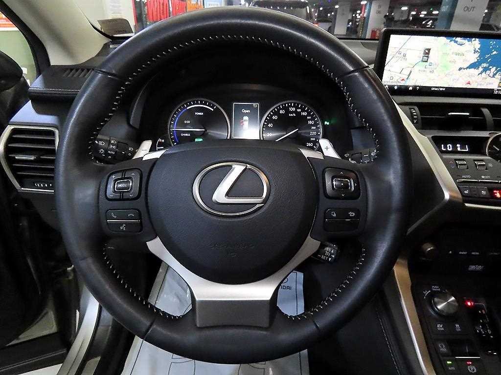 렉서스 NX NX 300h 이그제큐티브 이미지 8
