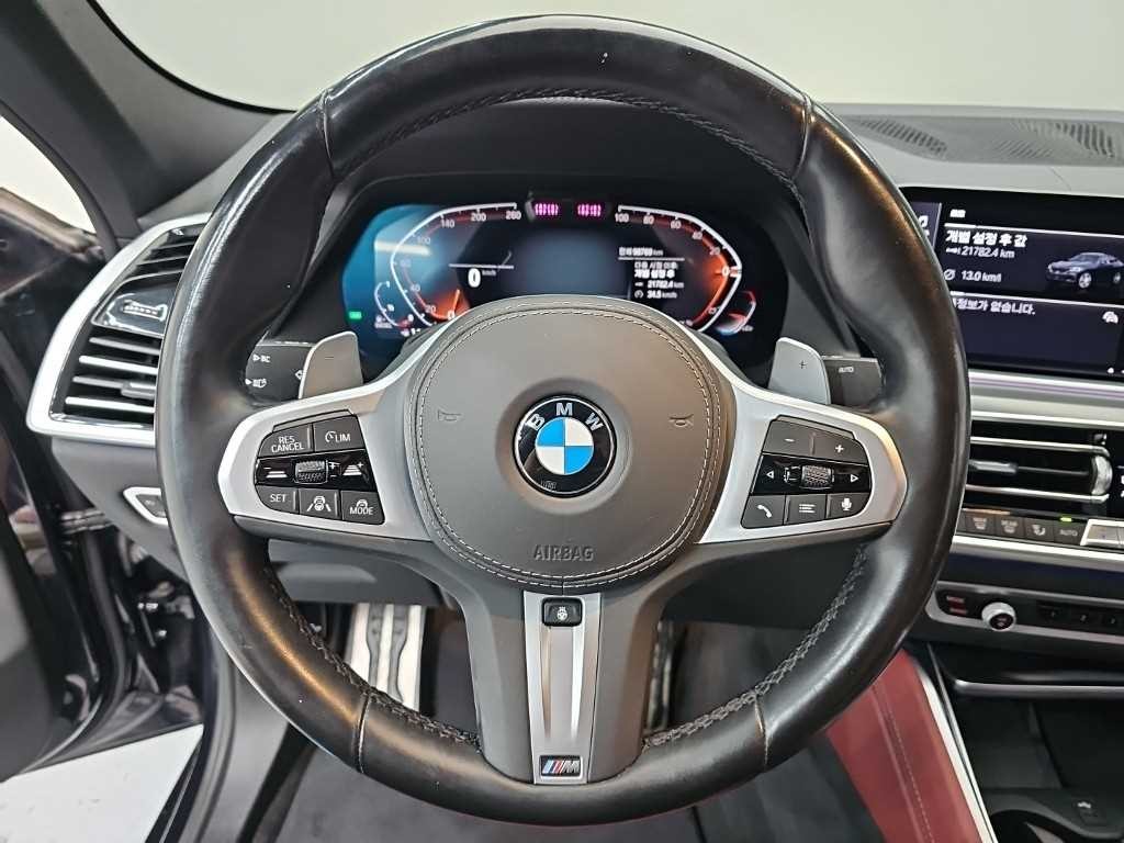 BMW X6 X6 (G06) xDrive 30d M 스포츠 이미지 9