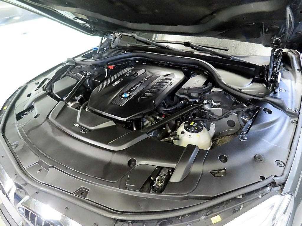 BMW 7시리즈 7시리즈 (G11) 730Ld xDrive M 스포츠 이미지 19