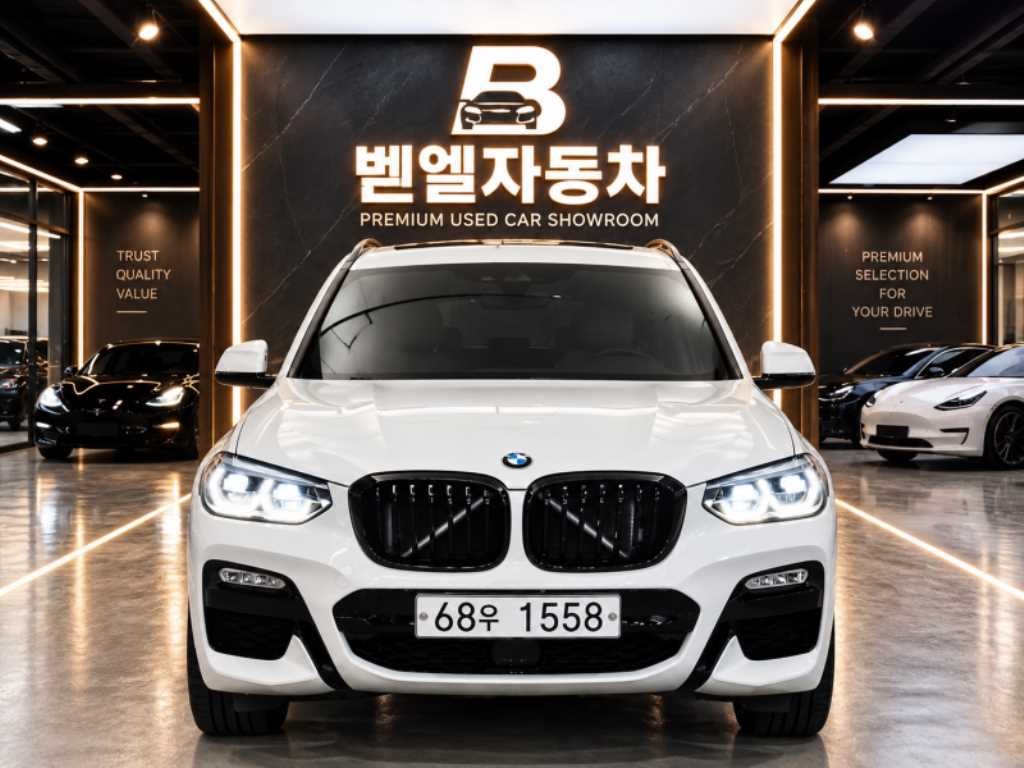 BMW X3 X3 (G01) xDrive 20d M 스포츠 이미지 1
