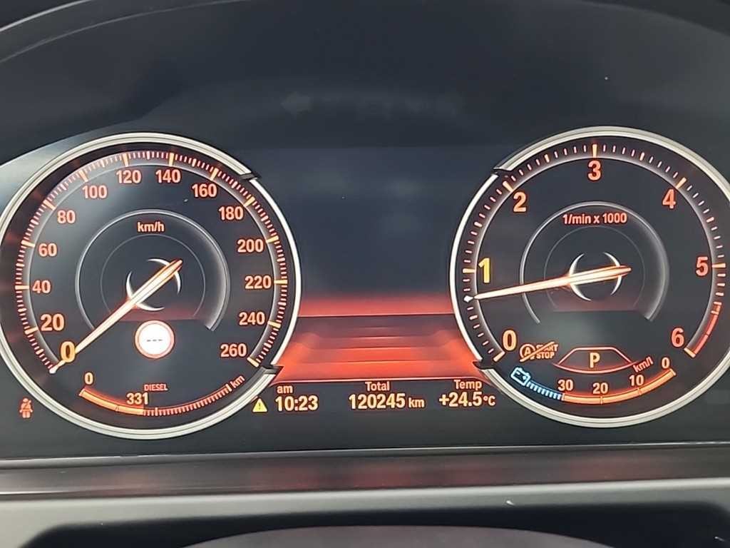 BMW X6 X6 (F16) xDrive 30d 이미지 6