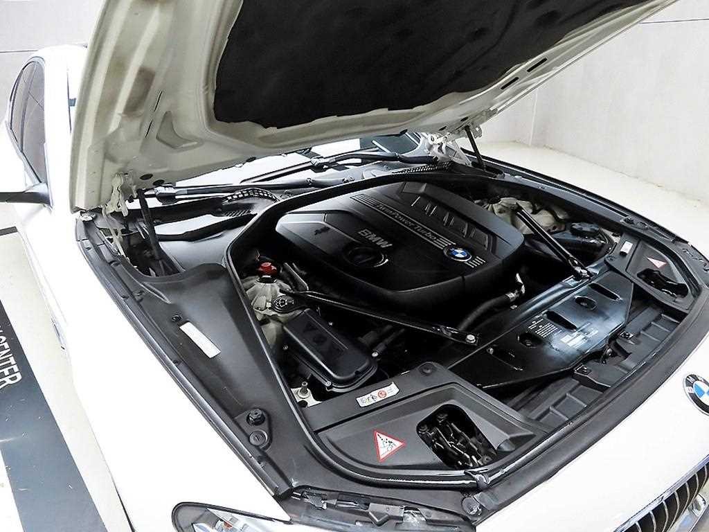 BMW 5시리즈 5시리즈 (F10) 520d 이미지 19