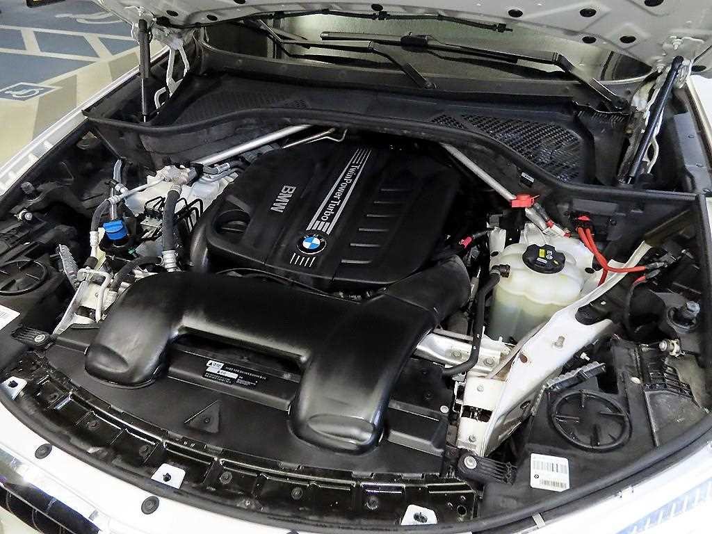 BMW X6 X6 (F16) xDrive 30d 이미지 19