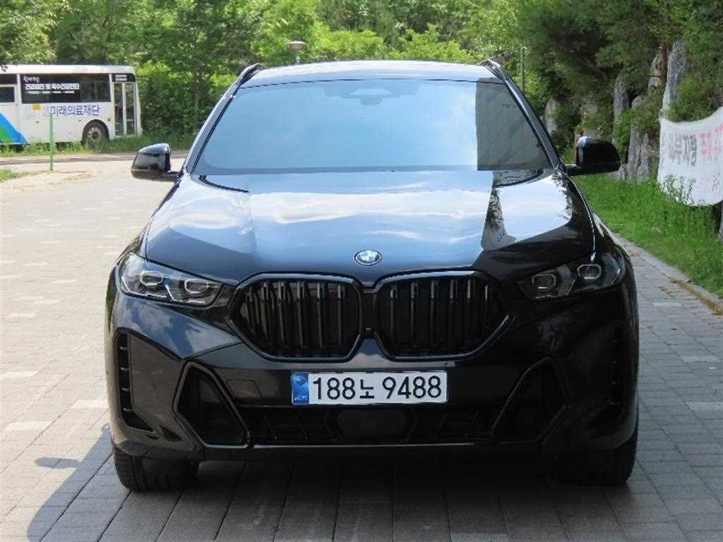 BMW X6 X6 (G06) xDrive 30d M 스포츠 이미지 1