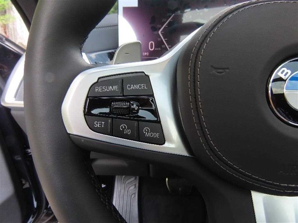 BMW X6 X6 (G06) xDrive 30d M 스포츠 이미지 11