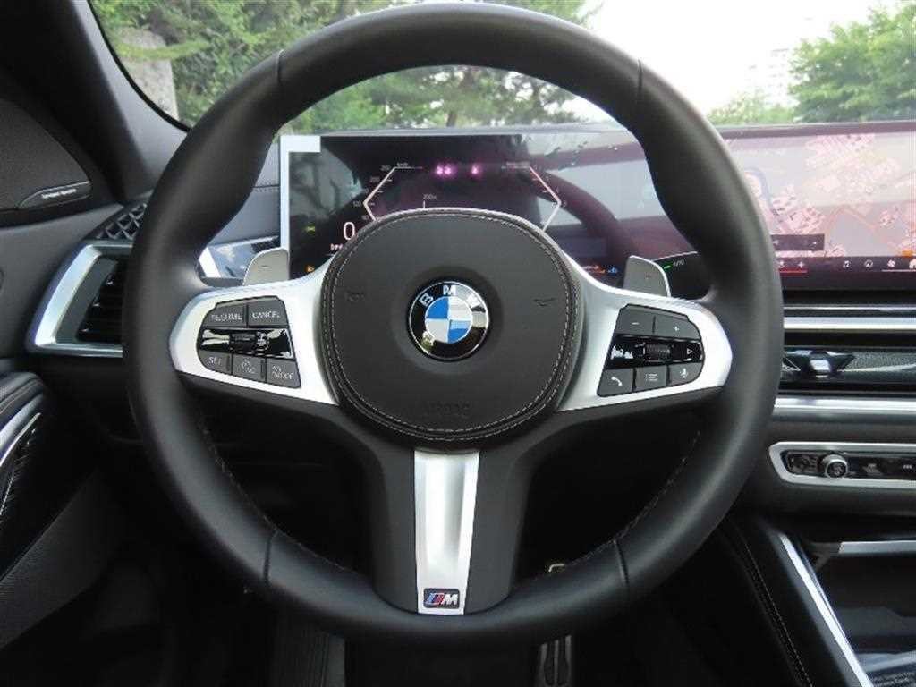 BMW X6 X6 (G06) xDrive 30d M 스포츠 이미지 16