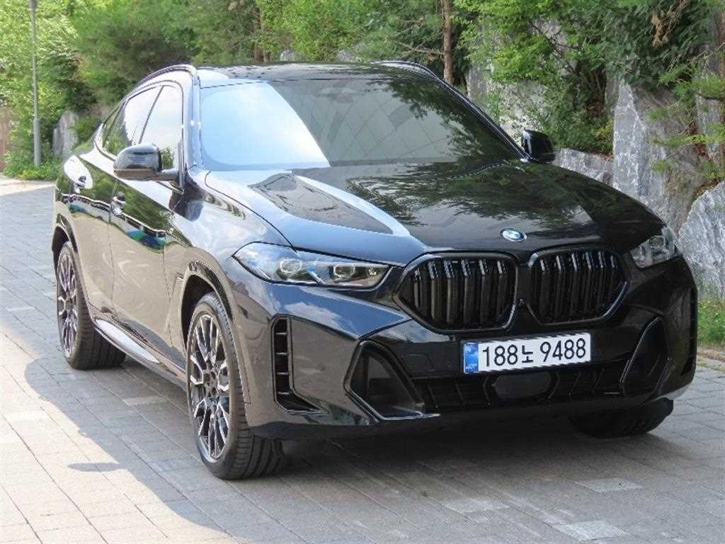 BMW X6 X6 (G06) xDrive 30d M 스포츠 이미지 2