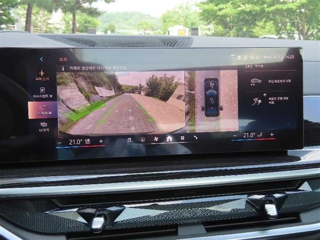 BMW X6 X6 (G06) xDrive 30d M 스포츠 이미지 9
