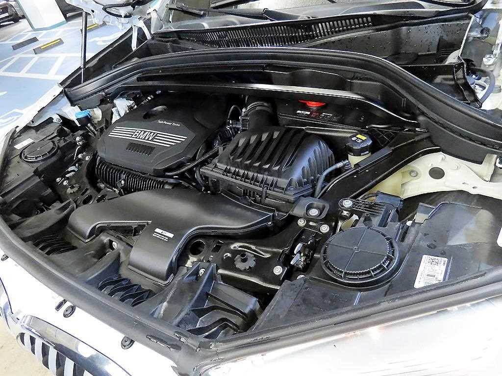 BMW X1 X1 (F48) xDrive 20i M 스포츠 이미지 19