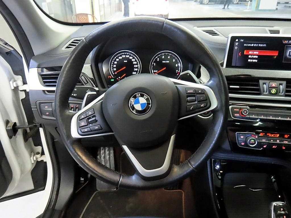 BMW X1 X1 (F48) xDrive 20i M 스포츠 이미지 8