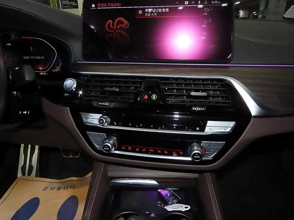 BMW 5시리즈 5시리즈 (G30) 530i xDrive M 스포츠 이미지 11