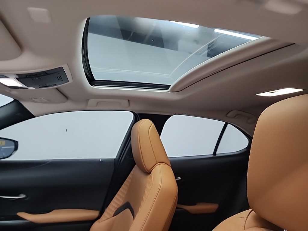 렉서스 UX UX 300e 300e 이미지 14