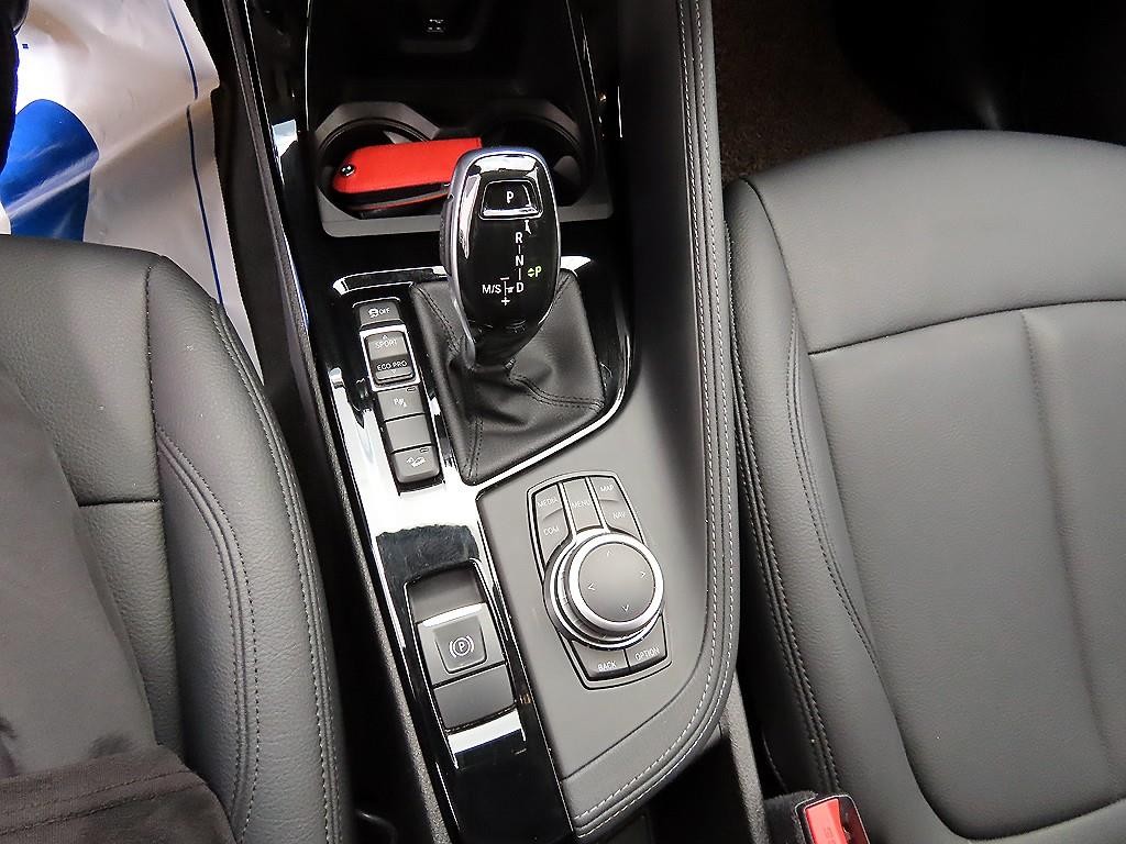 BMW X1 X1 (F48) xDrive 20i M 스포츠 이미지 10