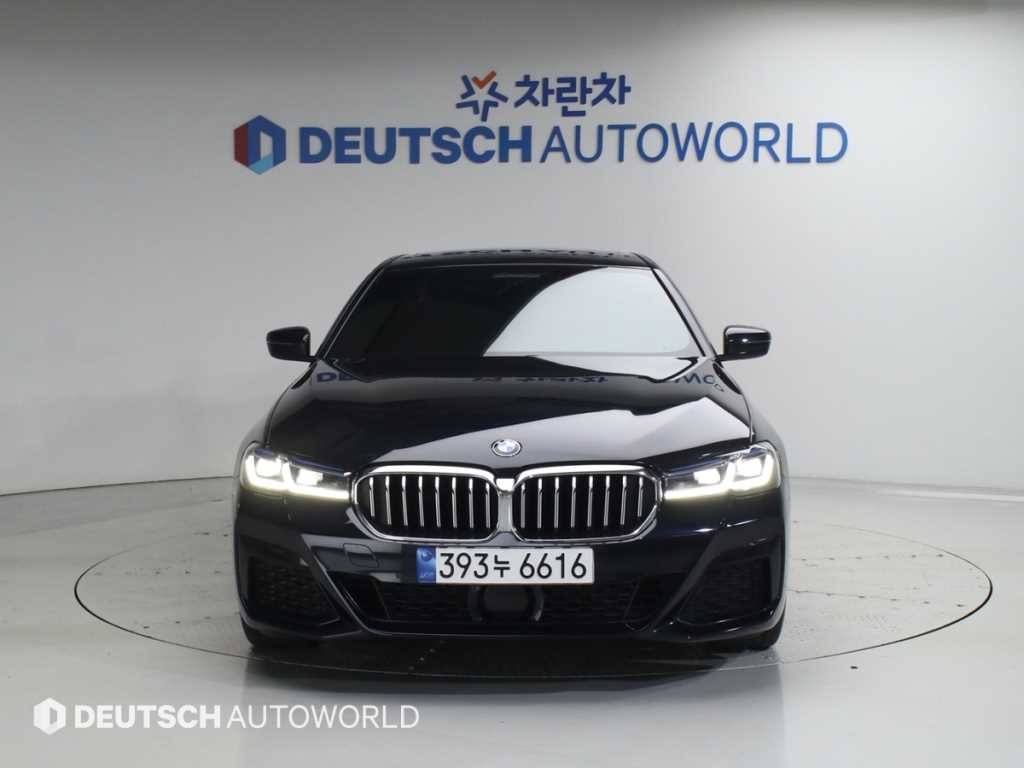 BMW 5시리즈 5시리즈 (G30) 530i xDrive M 스포츠 이미지 3