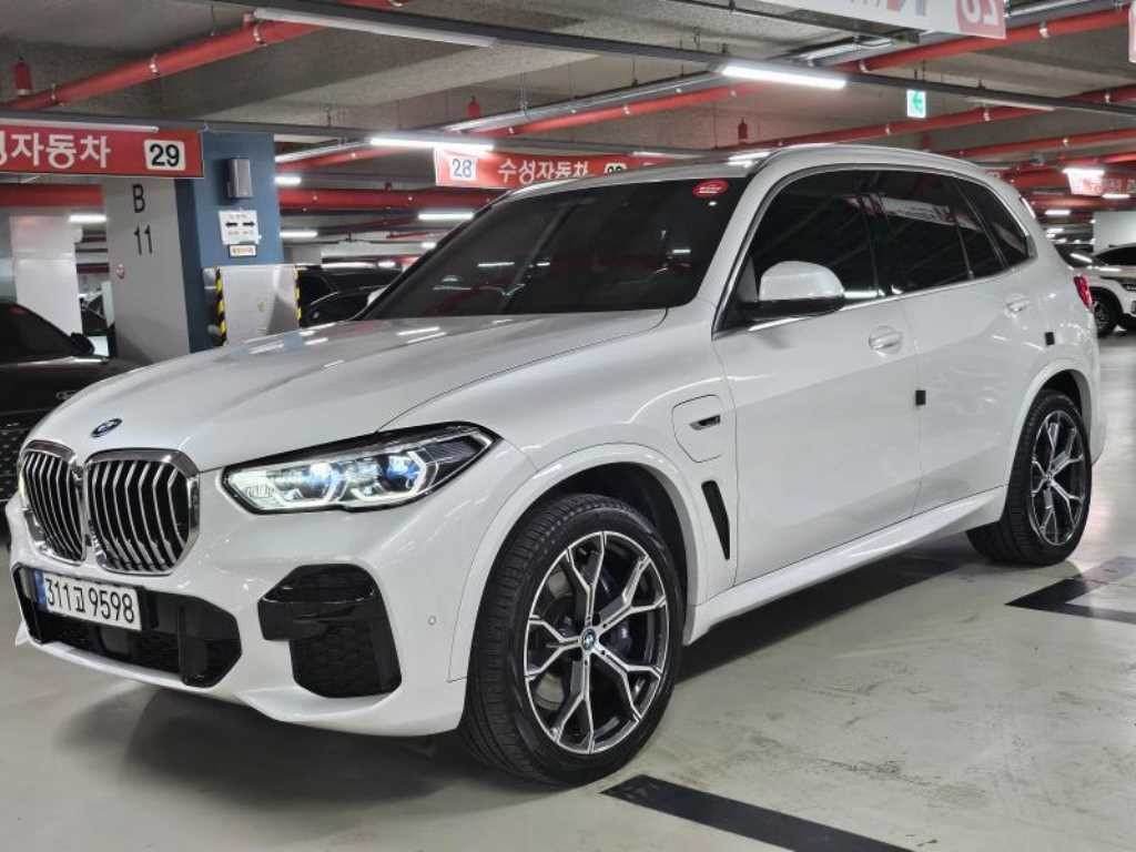 BMW X5 X5 (G05) xDrive 45e M 스포츠 이미지 1