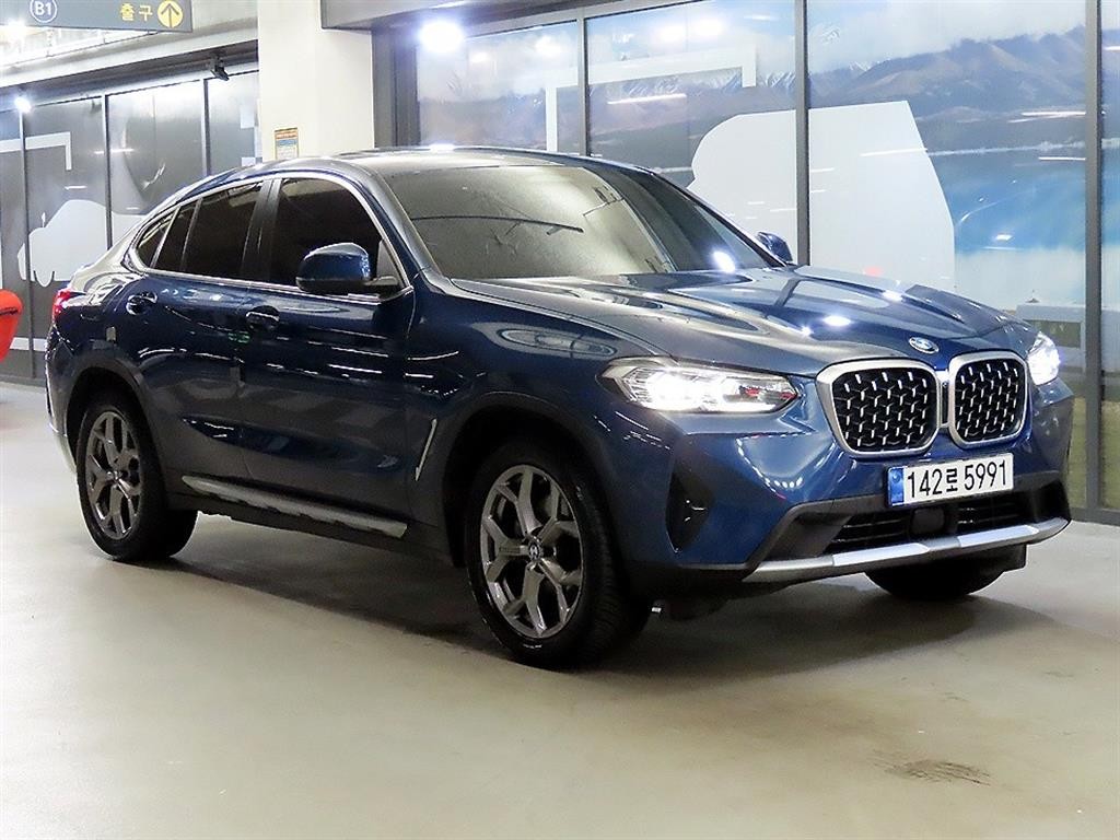 BMW X4 X4 (G02) xDrive 20i xLine 이미지 1