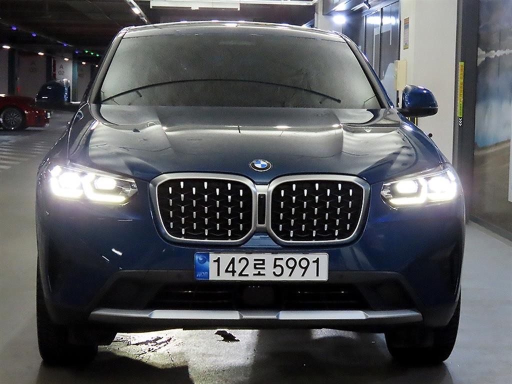 BMW X4 X4 (G02) xDrive 20i xLine 이미지 2